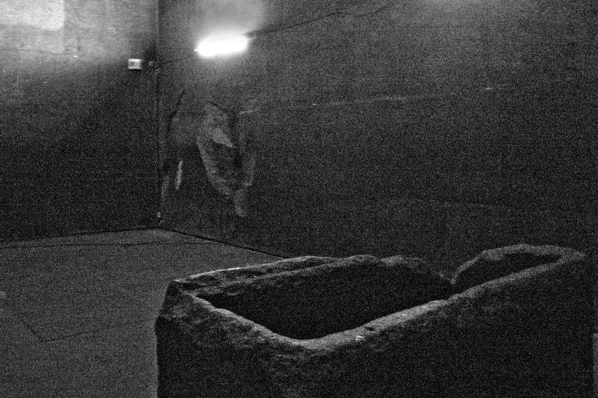 The King's Chamber, built entirely of red granite hauled from Aswan, some 935 km to the south.