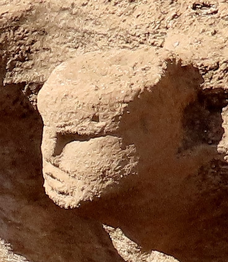 Close-up of the large human head carved in relief on the wall of Structure AB.
