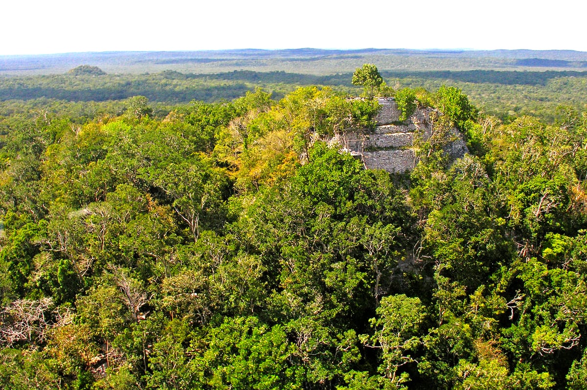 The summit of La Danta seen across the canopy from elsewhere in El Mirador. The flat horizon is the Mirador Basin — the low ridges in the distance are the edge of the karst that encloses it.