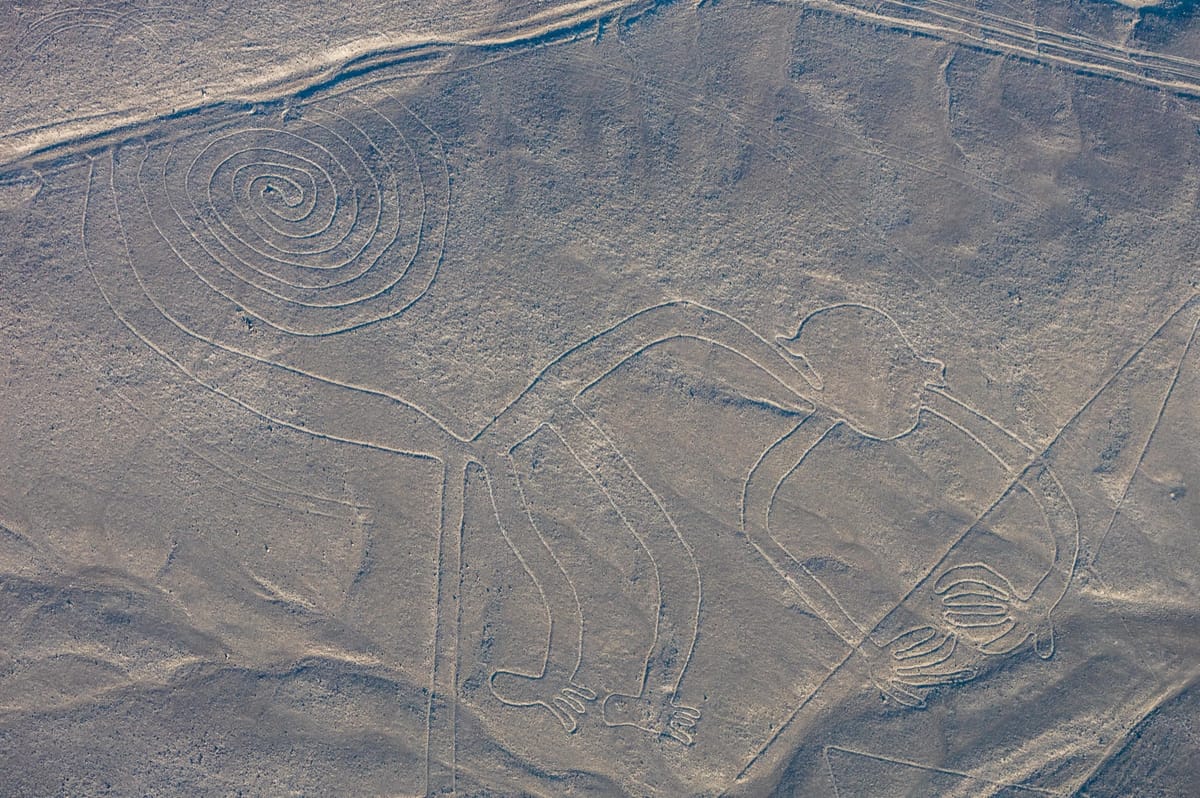 "The Monkey," about 93 metres across, with a spiralling tail and a hand rendered with nine fingers — cut across older straight lines that run beneath it.