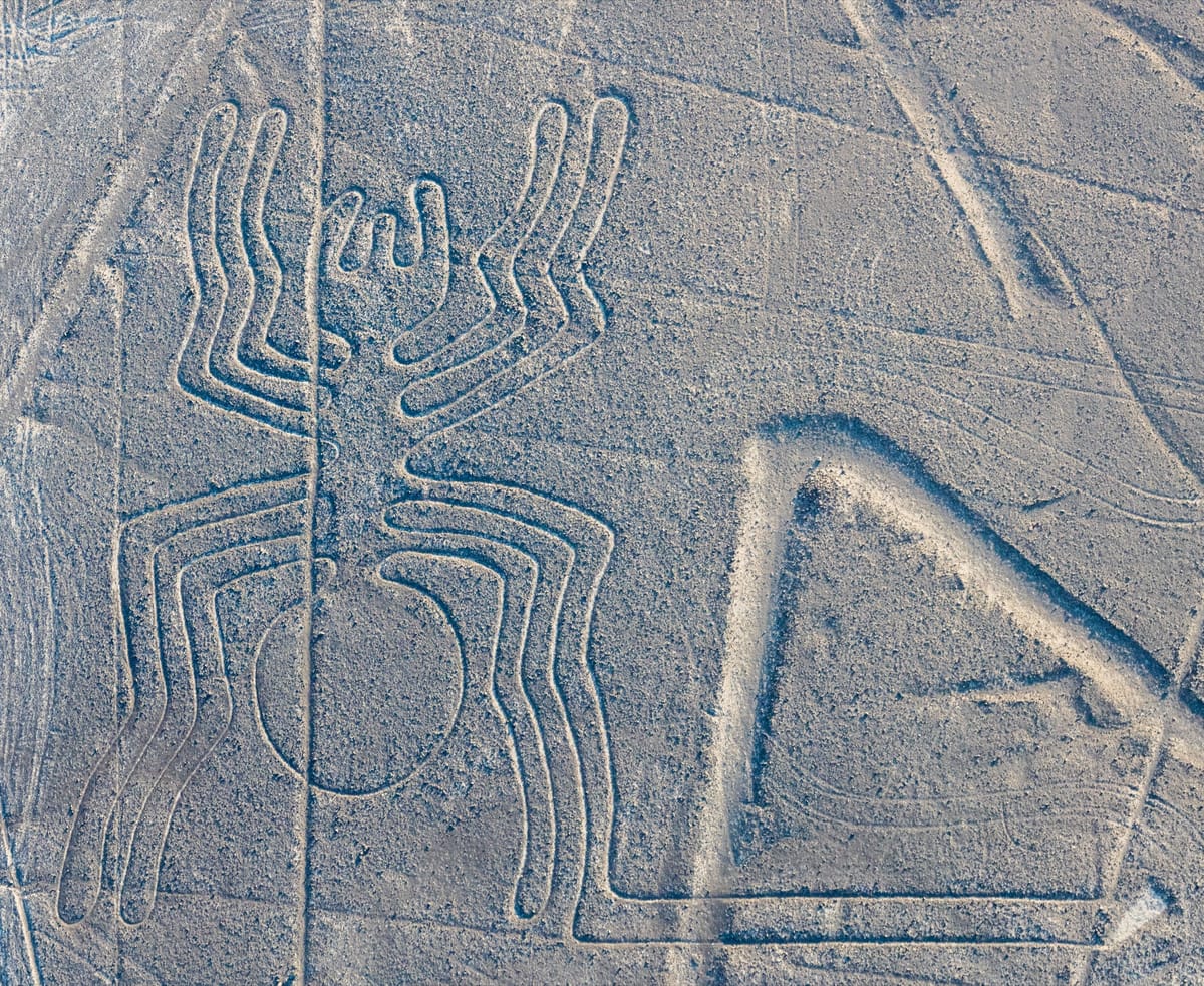 "The Spider," roughly 46 metres long, one of the biomorph figures drawn as a single unbroken line that never crosses itself.