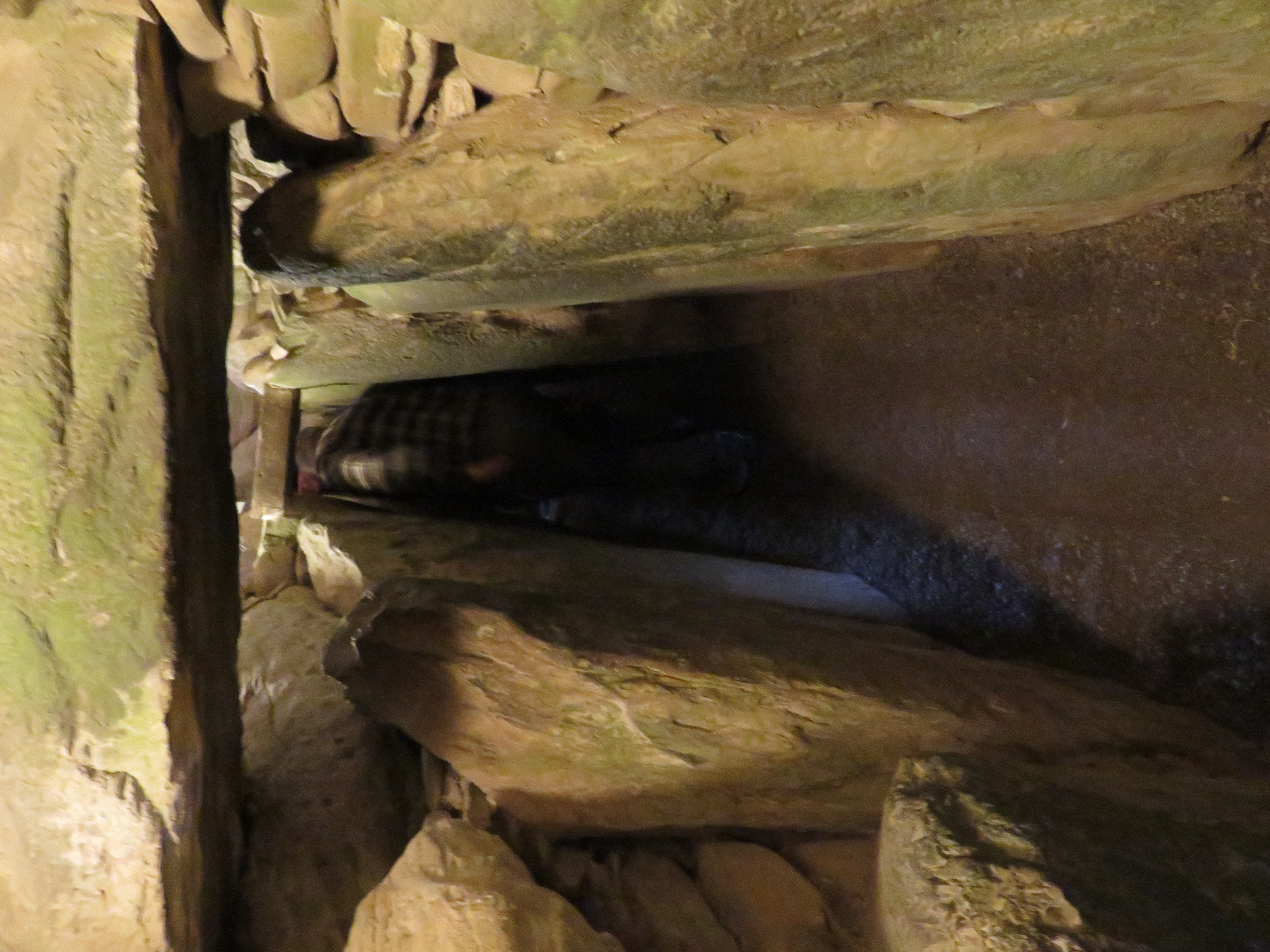The narrow stone passage leading toward the central chamber.