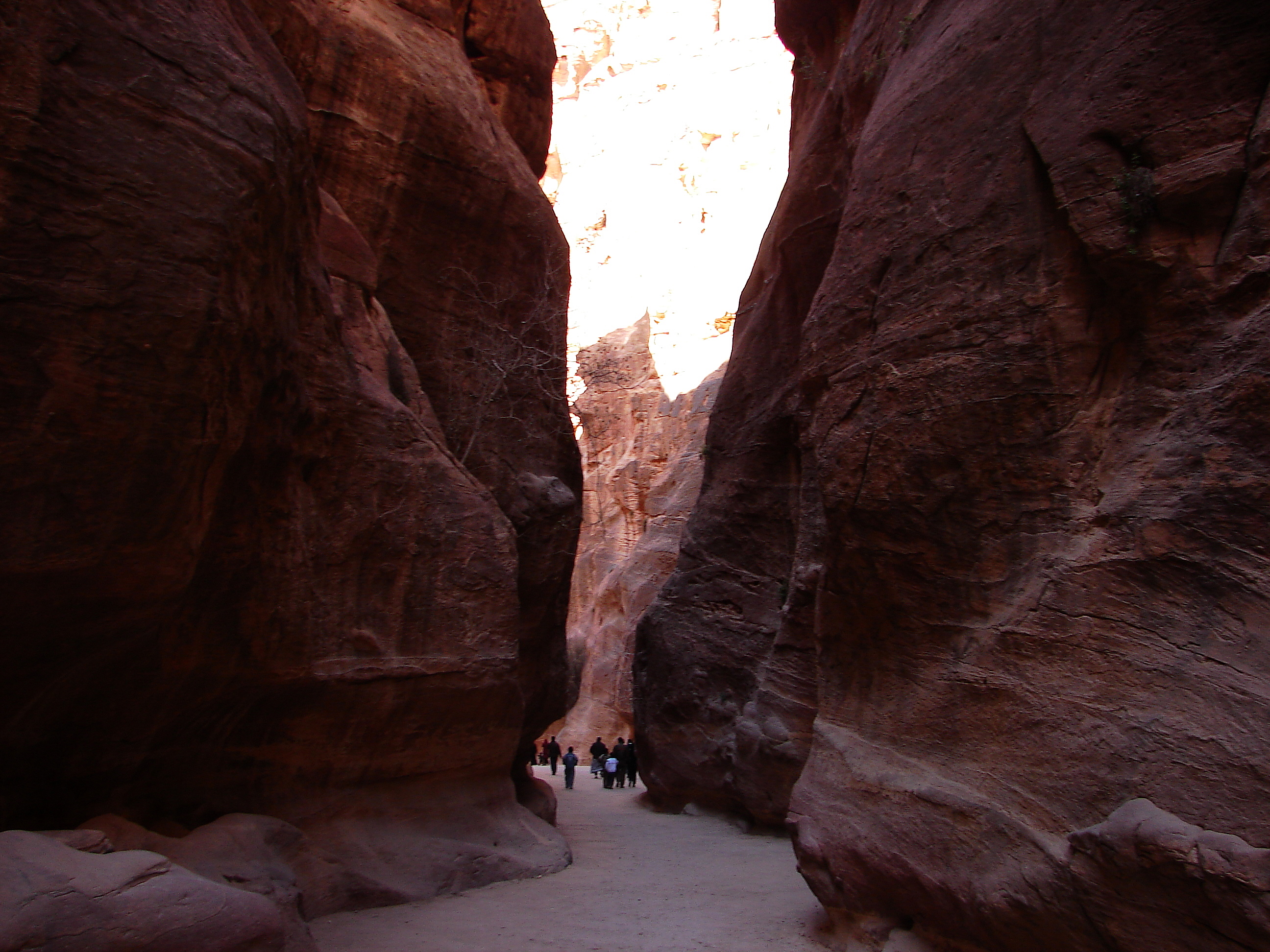 The Siq, the narrow 1.2 km sandstone gorge that visitors walk through before the Treasury comes into view.