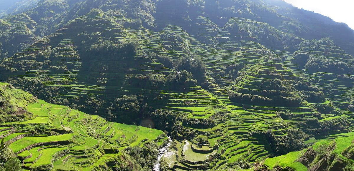 The famous Banaue terraces — visited by tourists but, because of numerous modern structures, deliberately excluded from the UNESCO inscription for reasons of integrity.