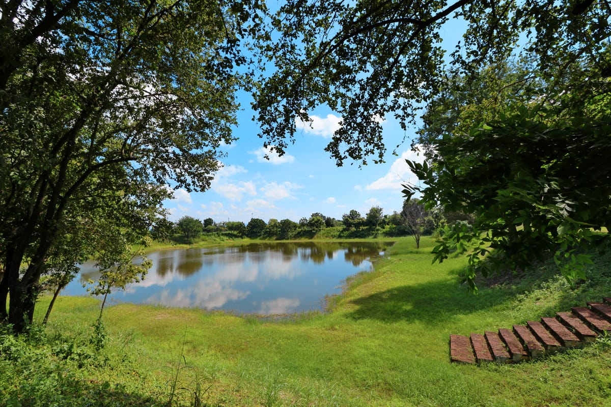 Sa Kaeo, a large ancient reservoir north of the ancient city, part of the settlement's water-management system.
