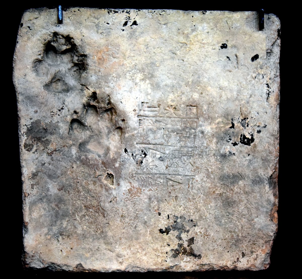 A stamped brick from the ziggurat, its cuneiform panel naming Ur-Nammu, king of Ur — and, near one edge, two dog's paw-prints pressed into the clay while it was still drying in the sun. Now in the British Museum.